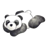 Panda Fluffy Favourites